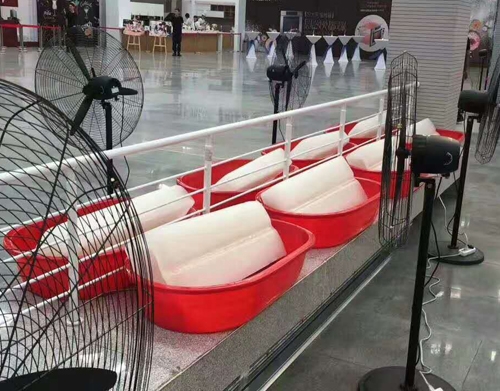 草莓IOS视频在线观看网站冰塊案例