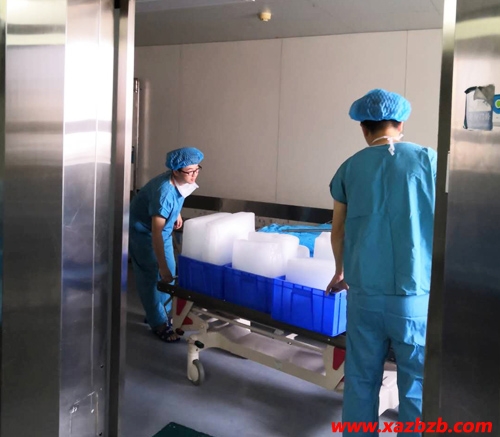 草莓IOS视频在线观看网站冰塊廠家